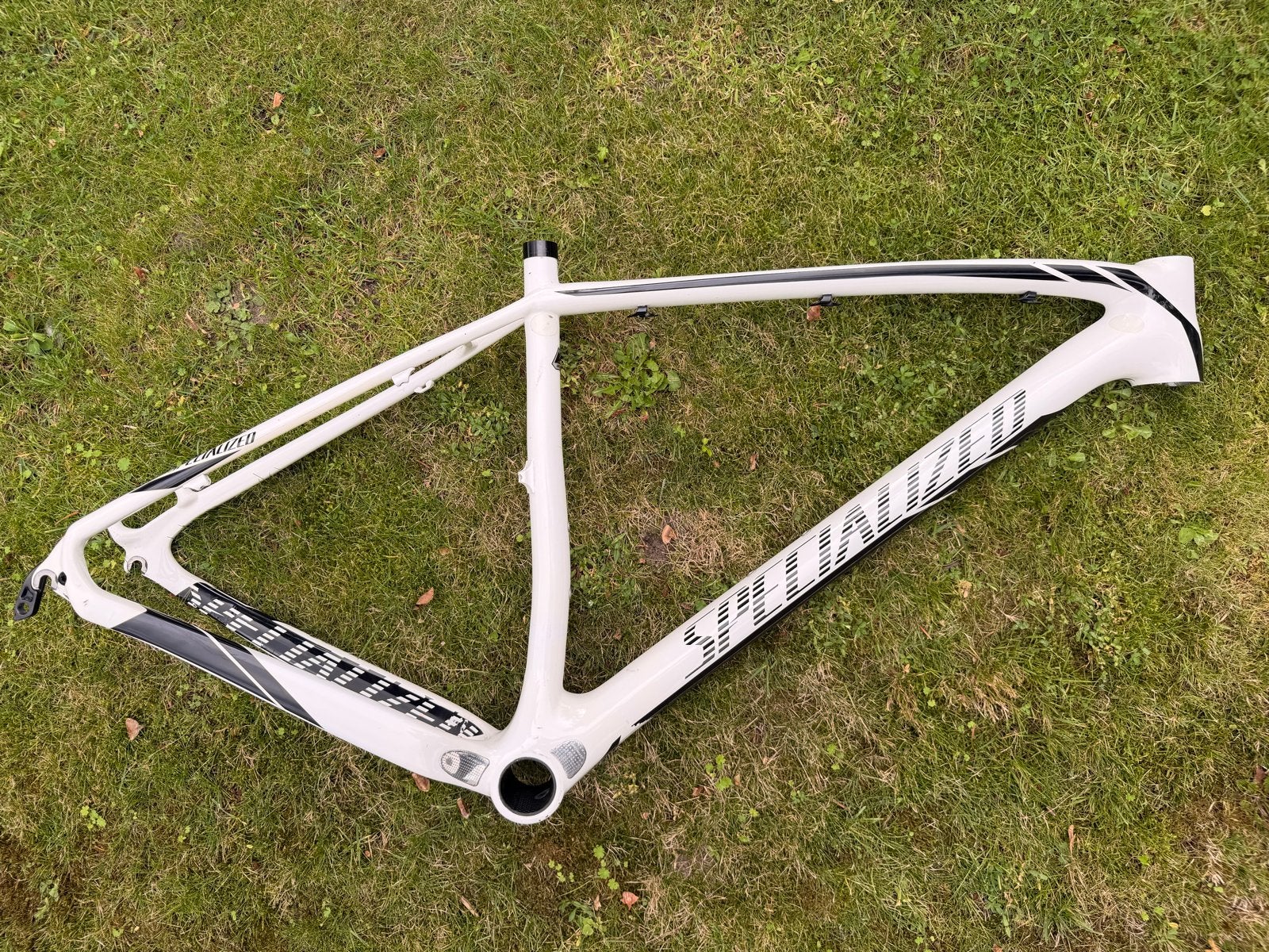 Specialized Stumpjumper Carbon Frame, Frame, Gebruikt, Ophalen of Verzenden, Mountainbike