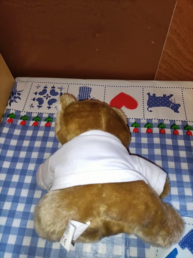 Stichting Twentsewens ambulance Twente wens beer knuffel, Ophalen of Verzenden, Gebruikt, Stoffen beer, Overige merken