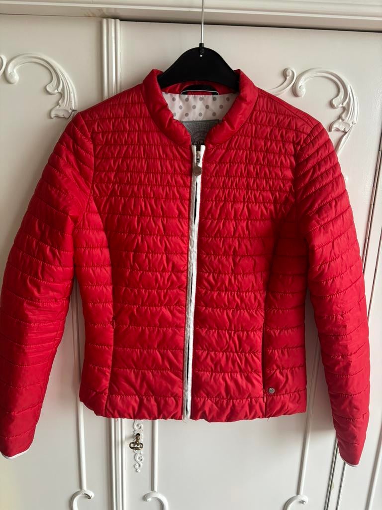 Nieuw rood jas merk Taifun maat 36, Ophalen of Verzenden, Nieuw, Maat 36 (S), Rood
