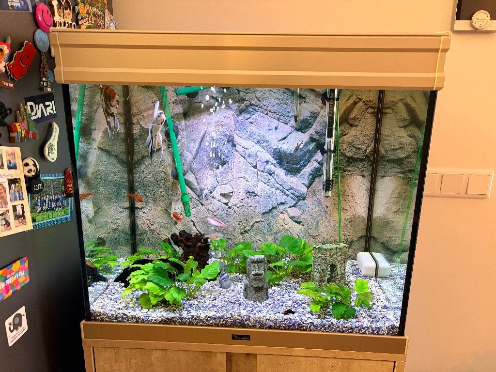 Aquatlantis Splendid 60 Ultra Aquarium + Meubel + Eheim filt, Ophalen, Gebruikt, Inclusief deksel, Aquatlantis
