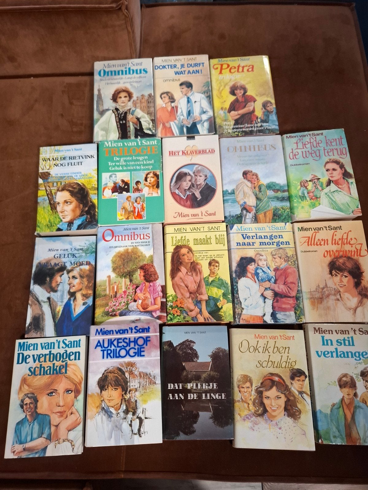 18 Mien van 't Sant boeken - diverse titels (doos 11), Ophalen of Verzenden, Zo goed als nieuw, Mien van 't Sant, Nederland
