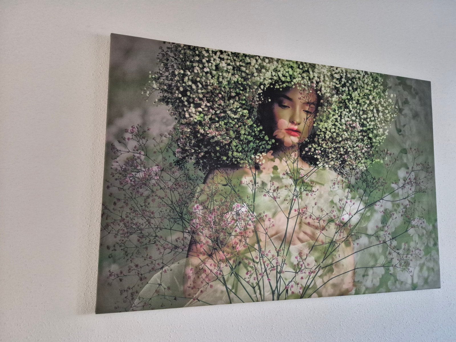 mooi velvet schilderij, Ophalen