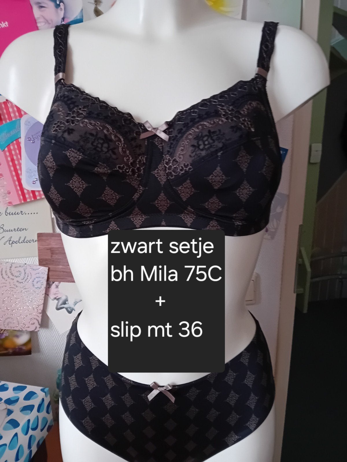 Setje prothese lingerie, Kleding | Dames, Ophalen of Verzenden, Setje