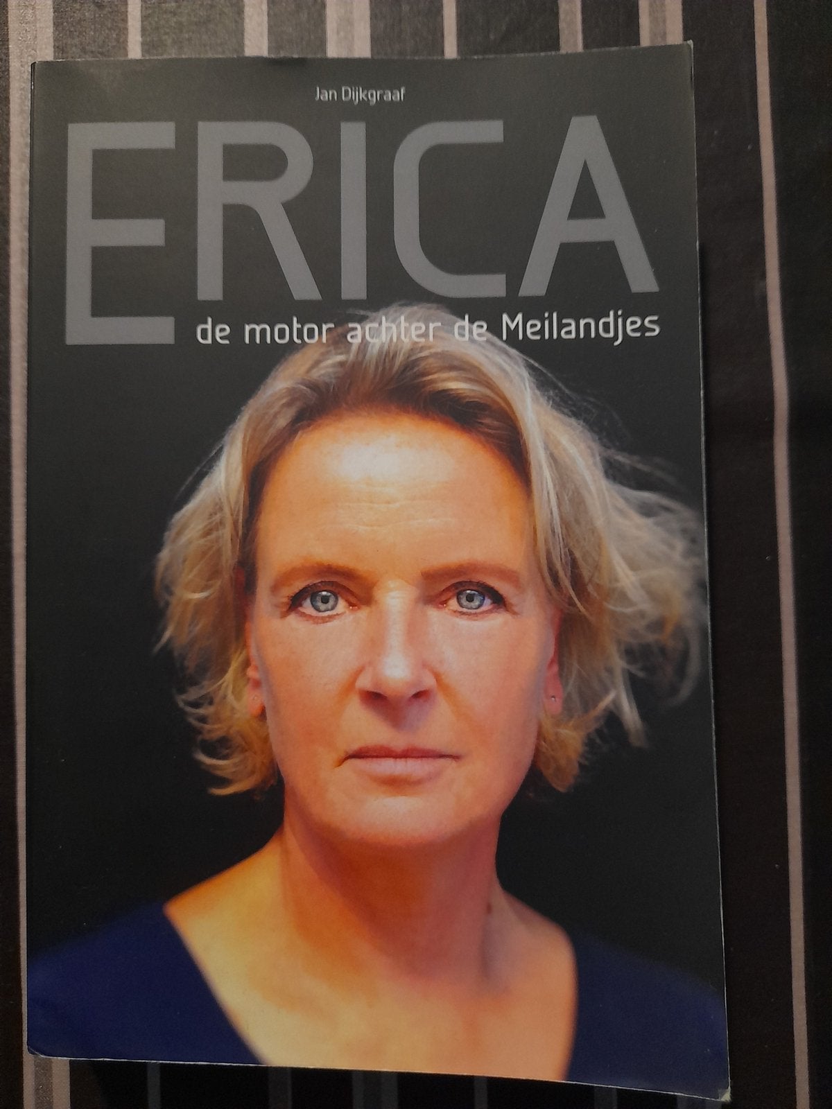 Biografie van Erica Renkema, bekend van 'Chateau Meiland'., Ophalen of Verzenden, Gelezen, Film, Tv en Media