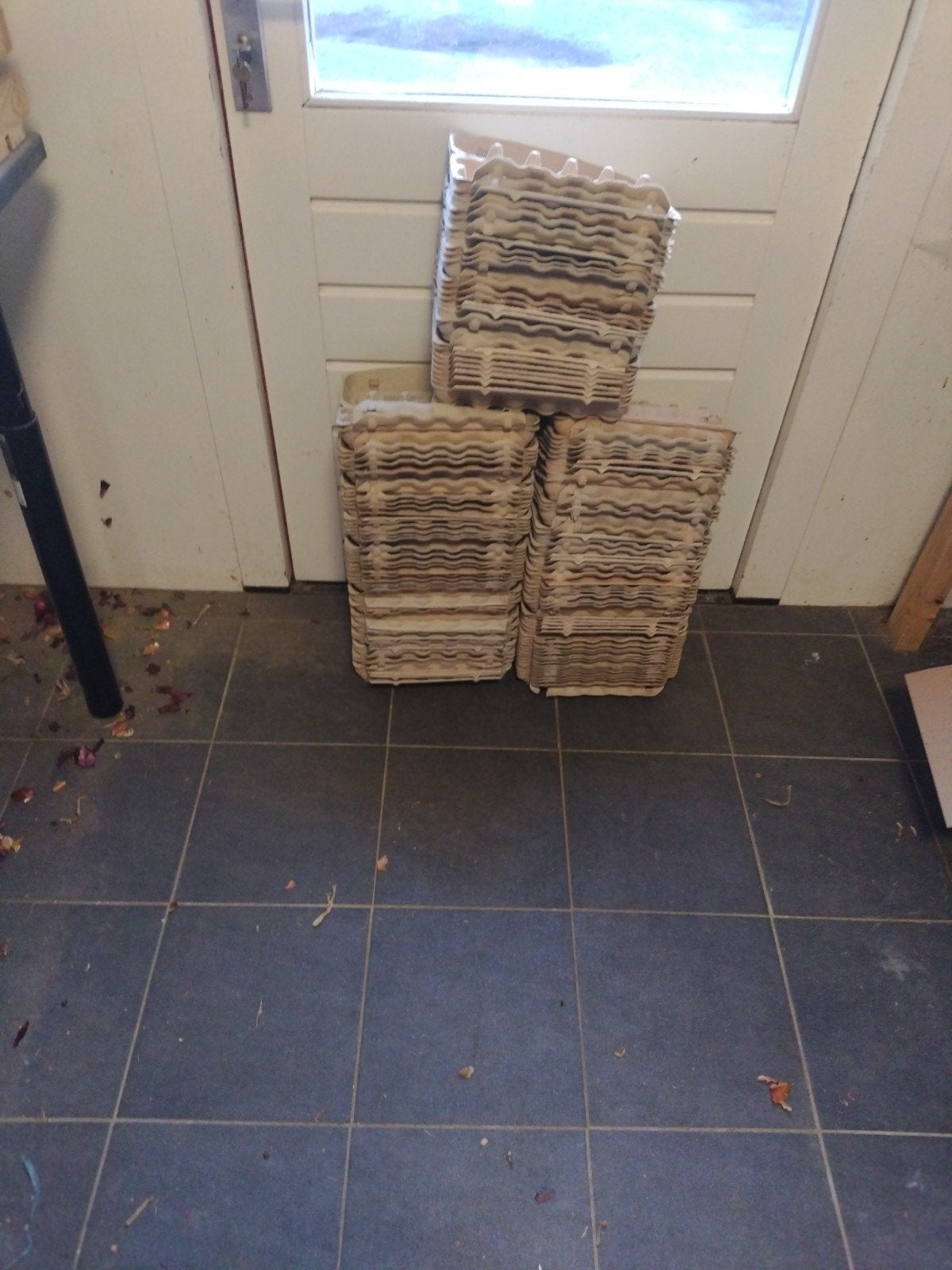 Eierdozen voor 12eieren  125stuks, Dieren en Toebehoren, Pluimvee | Toebehoren, Ophalen of Verzenden