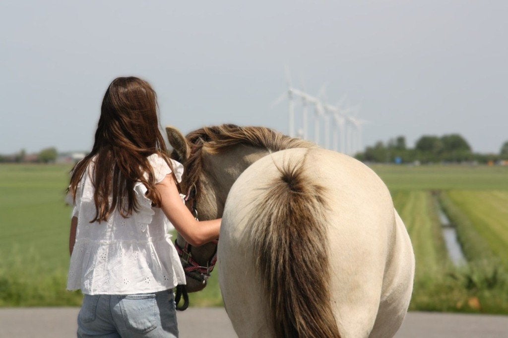 2 Verzorgponys gezocht / 2 Verzorgers aangeboden, Overige merken, Ophalen of Verzenden, Nieuw, Overige typen