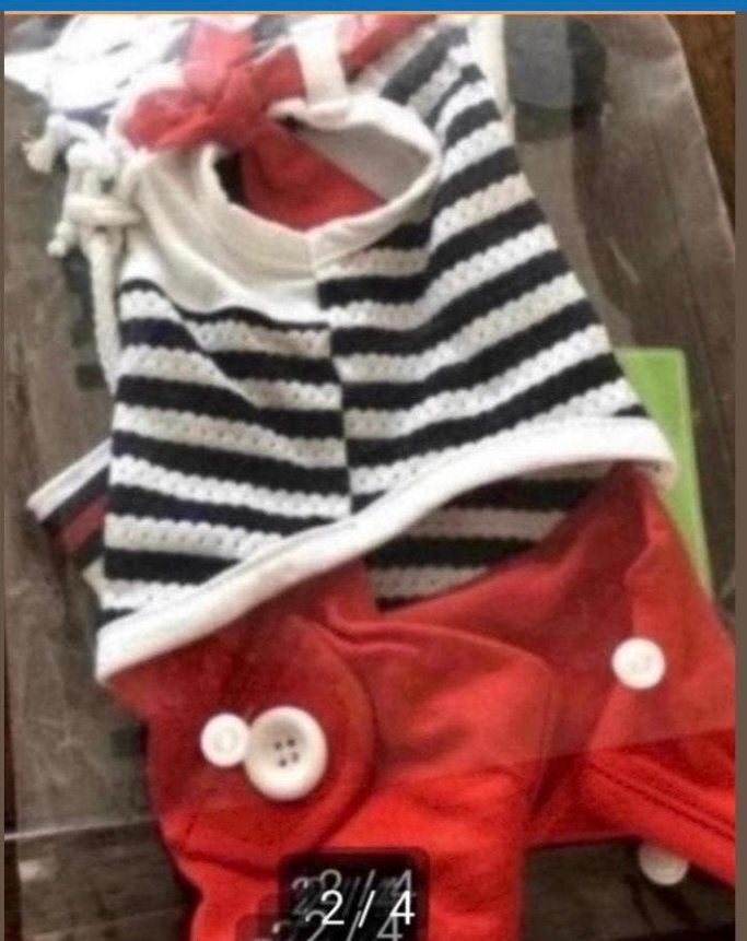 Pakje marinestijl Puppy angel, Dieren en Toebehoren, Ophalen of Verzenden, Nieuw