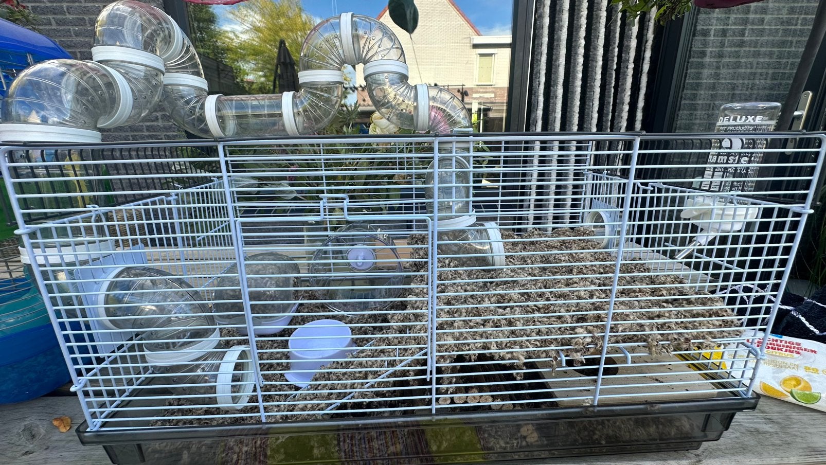 Hamster met hamsterkooi!, Kooi, Minder dan 75 cm, Zo goed als nieuw, Hamster