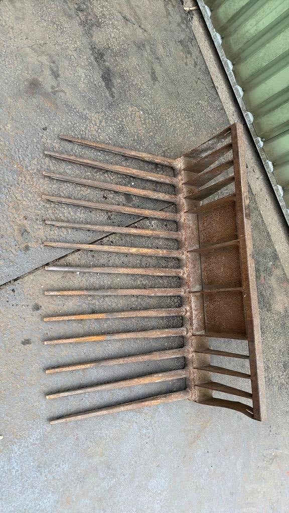 Knikmops tegelriek puinriek