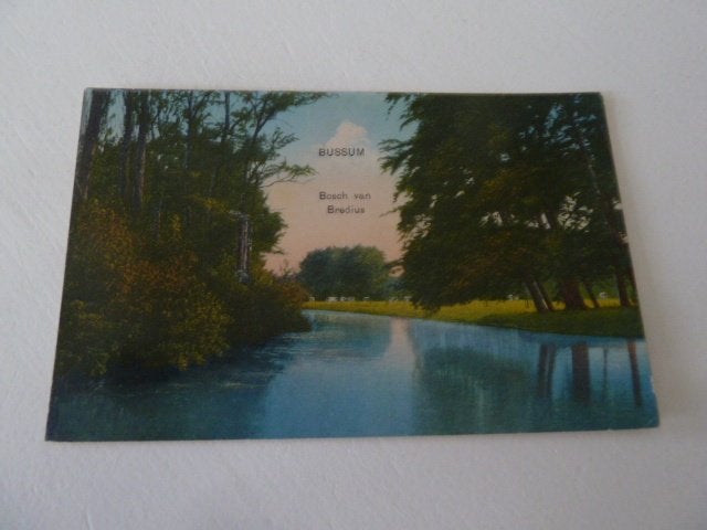 Bussum circa 1910 Bosch van Bredius, Ophalen of Verzenden, Voor 1920, Ongelopen, Noord-Holland