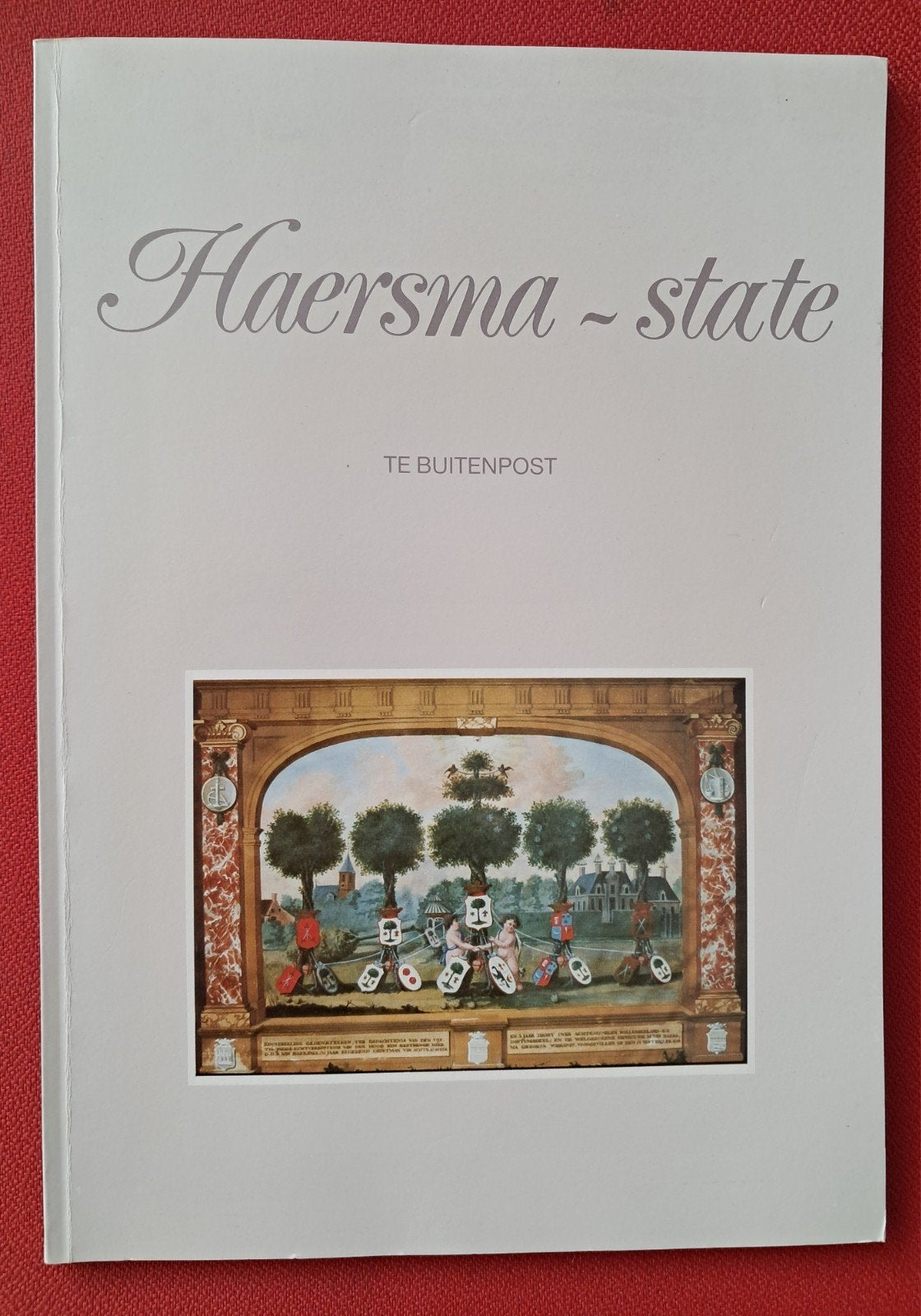 ZEER ZELDZAAM boek HAERSMA-STATE te Buitenpost, Boeken, Ophalen of Verzenden, Zo goed als nieuw, 17e en 18e eeuw, Gerard van der veer