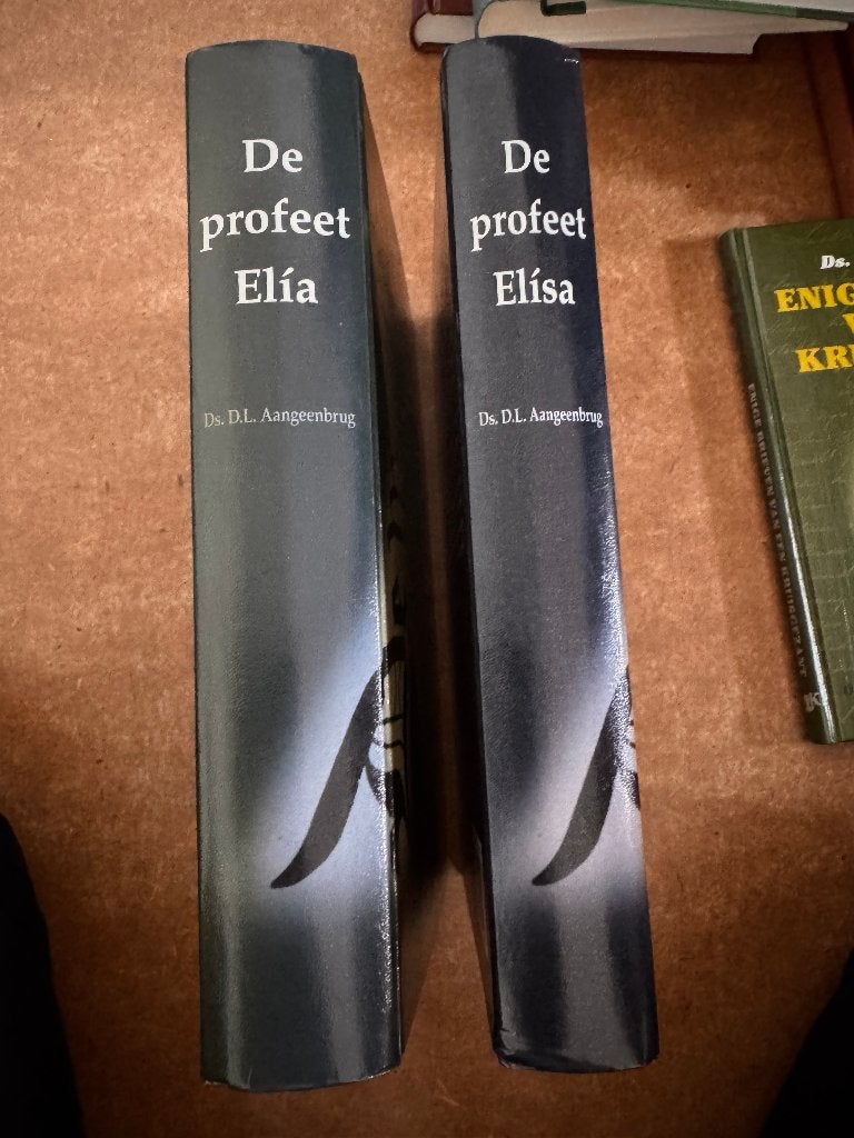 Ds. D.L. Aangeenbrug - De profeet Elia en De profeet Elisa, Ophalen of Verzenden, Zo goed als nieuw, Christendom | Protestants