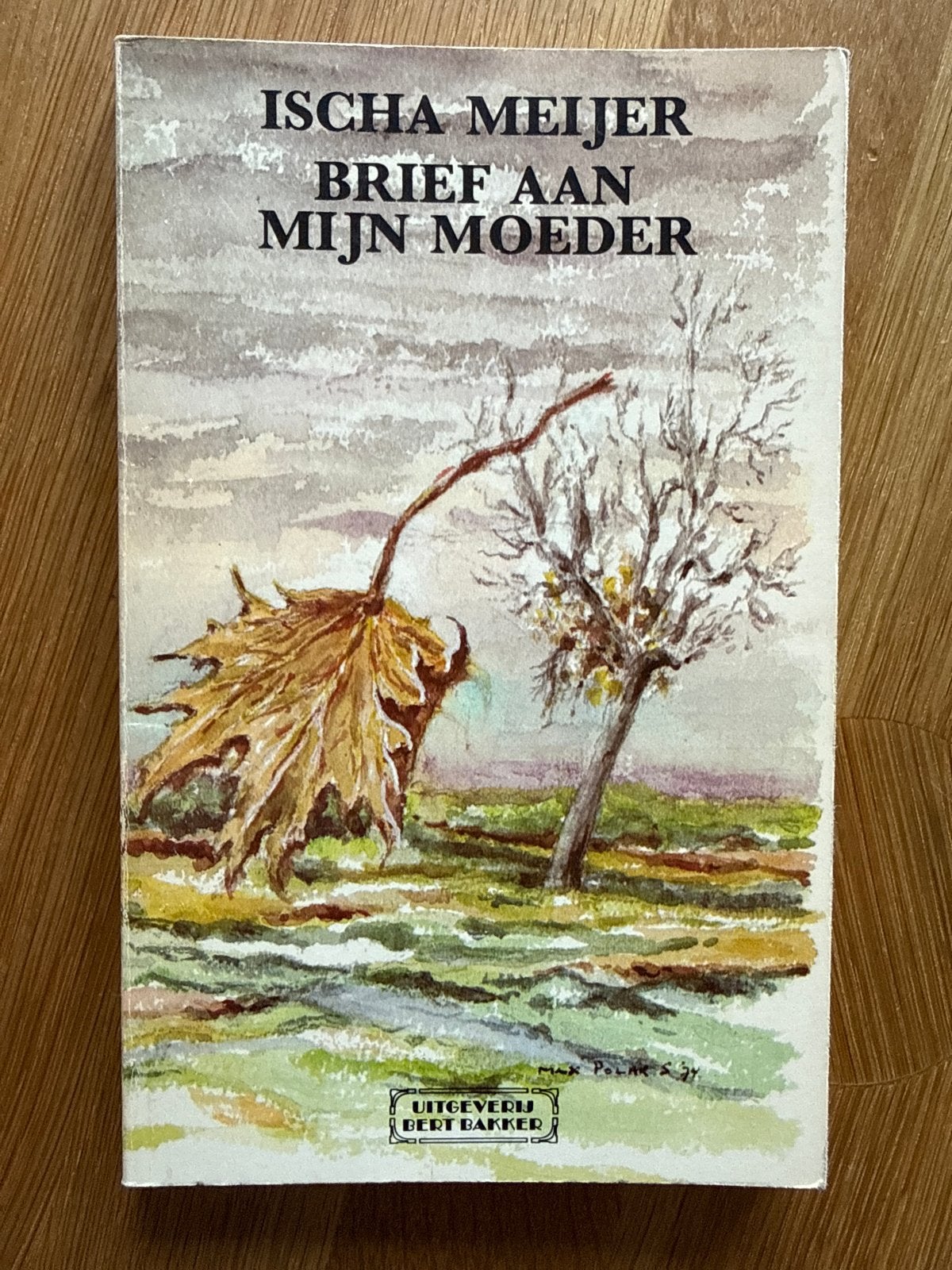 Ischa Meijer - Brief aan mijn moeder (1975), Boeken, Ophalen of Verzenden, Gelezen, Nederland