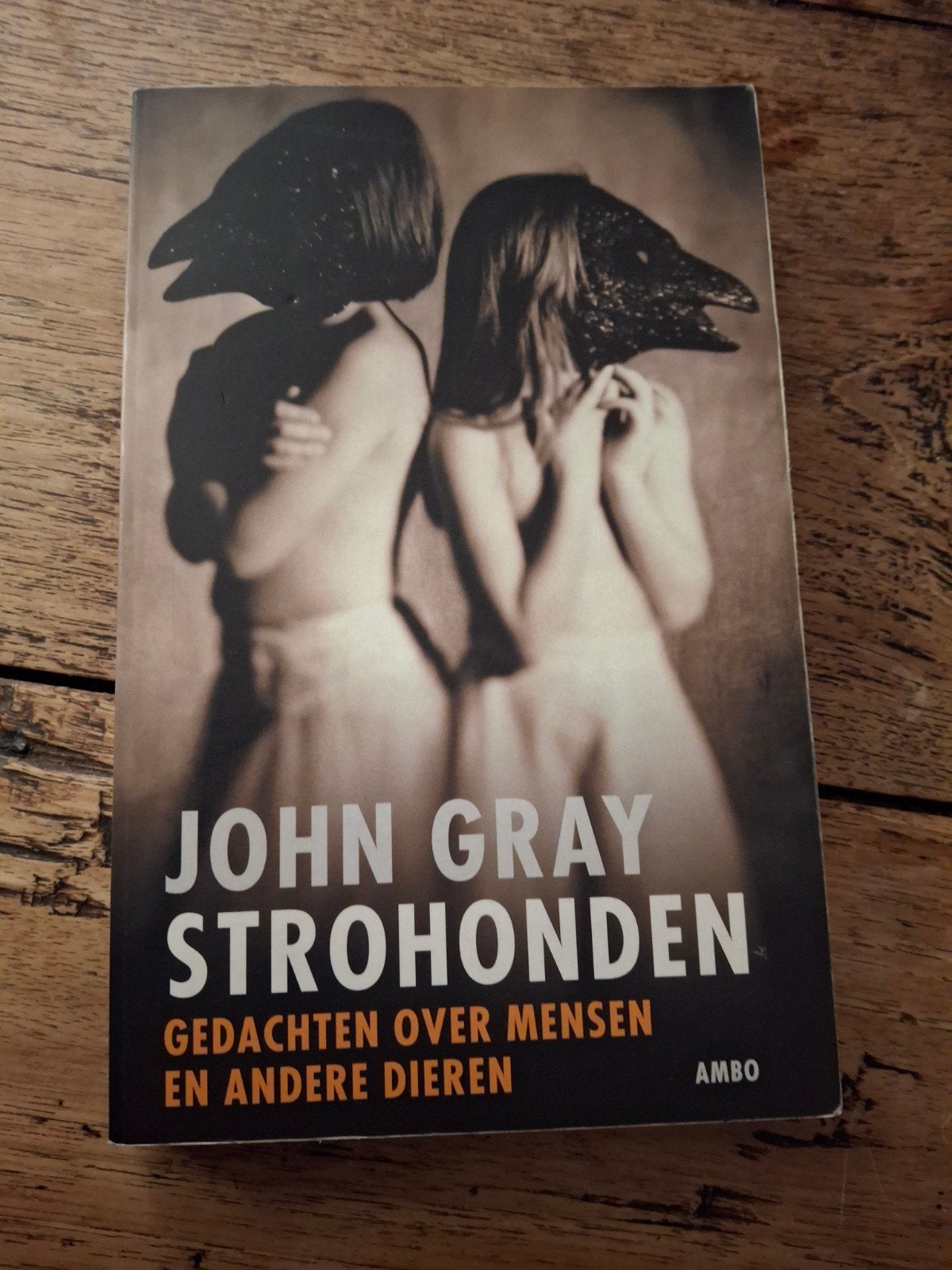 John Gray - Strohonden, Boeken, Ophalen of Verzenden, Gelezen, John Gray