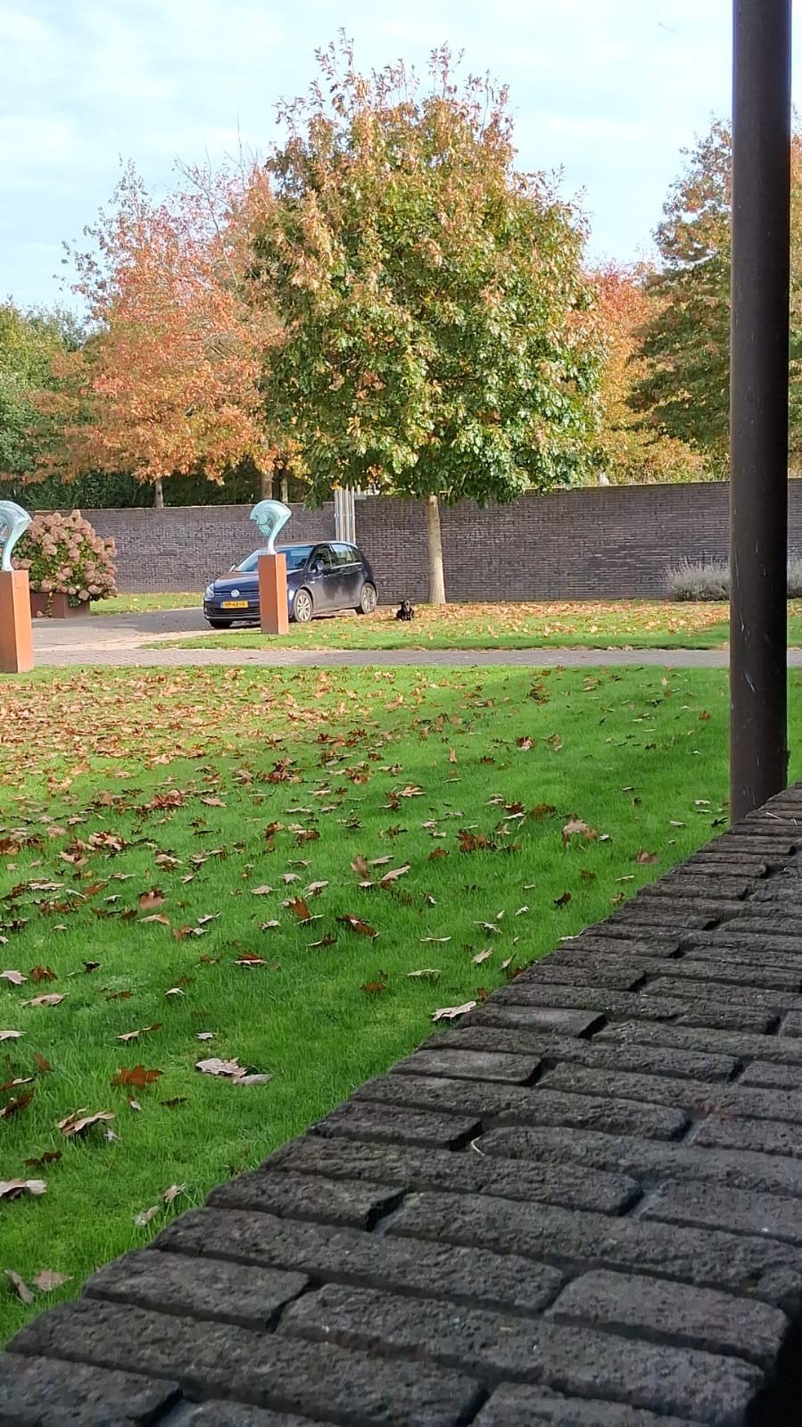 Tuinman gezocht