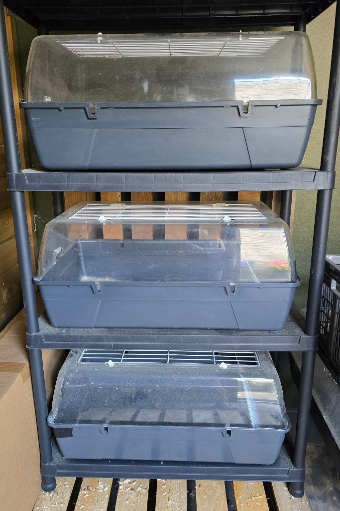 Savic Rodi anti-rommelkooien met stelling, Kooi, Gebruikt, 75 tot 110 cm, Cavia