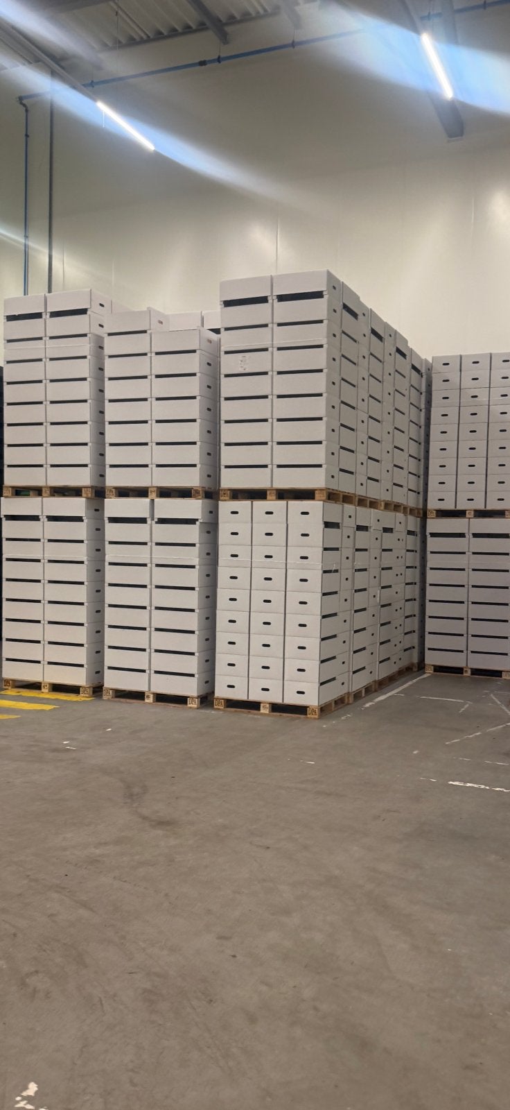Te koop 40 pallets dozen wit nieuw afmeting 60x40, Zakelijke goederen, Partijgoederen en Retail | Verpakking en Verzending, Ophalen