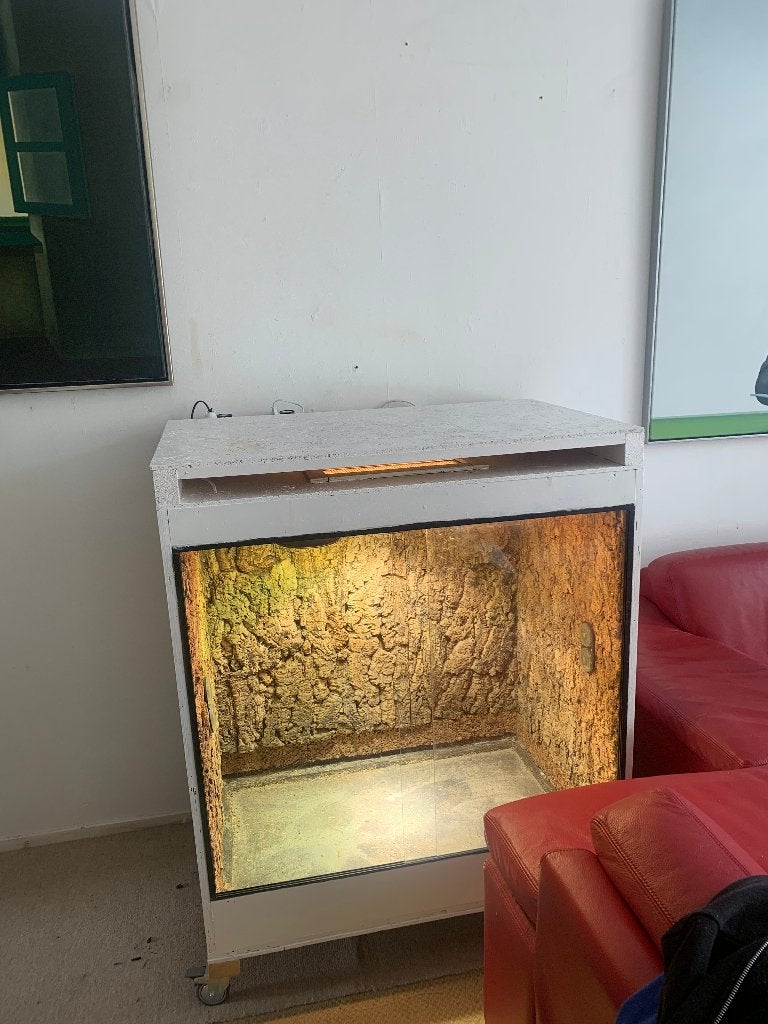Houten terrarium met portugees kurk en licht en warmte, 110€, Ophalen, Gebruikt, Terrarium of Paludarium