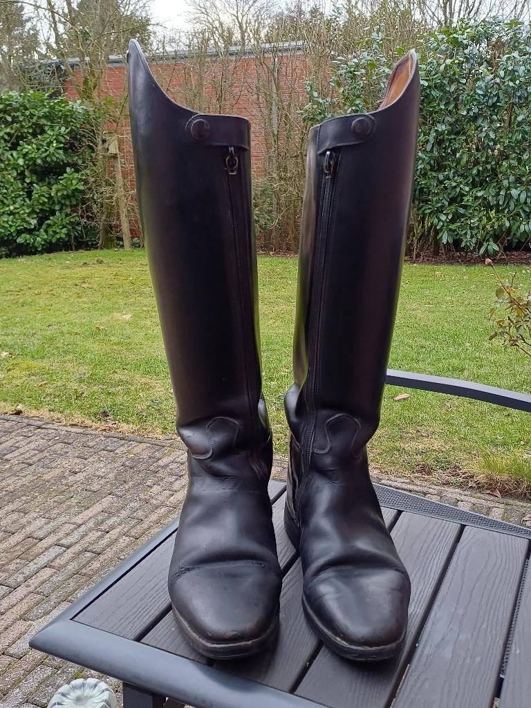 Petrie rijlaarzen, Gebruikt, Dames, Schoeisel, Dressuur