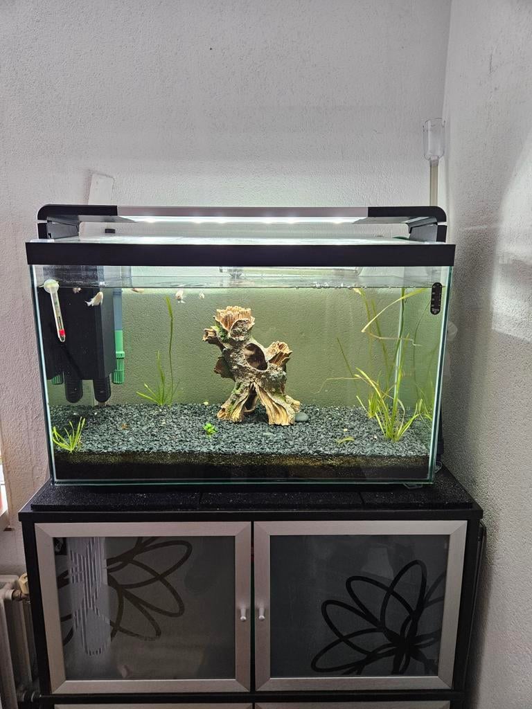 Mooi  complete Aquarium, Ophalen