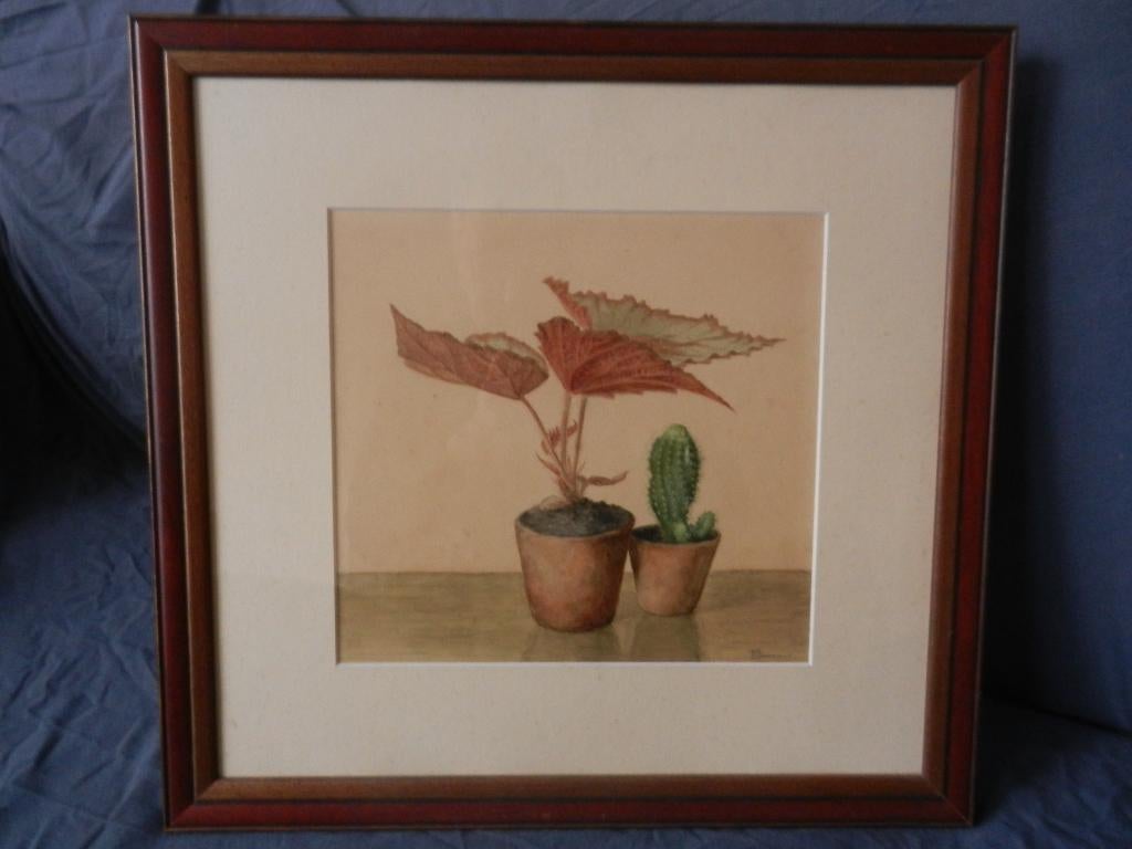 Aquarel Stllleven met bloempotjes Ary Swanevelt (1900-1961), Ophalen of Verzenden