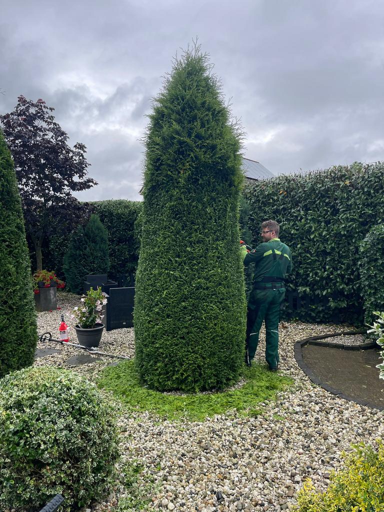 Opruimen / afvoer rommel /Tuinman Snoei werkzaamheden /, Tuinonderhoud of Snoeiwerk