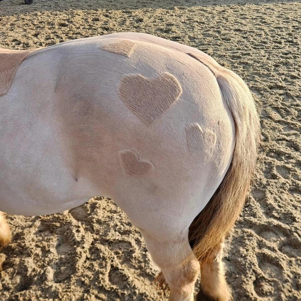 Scheren paarden en pony's, Verzorging of Verzorgpony's