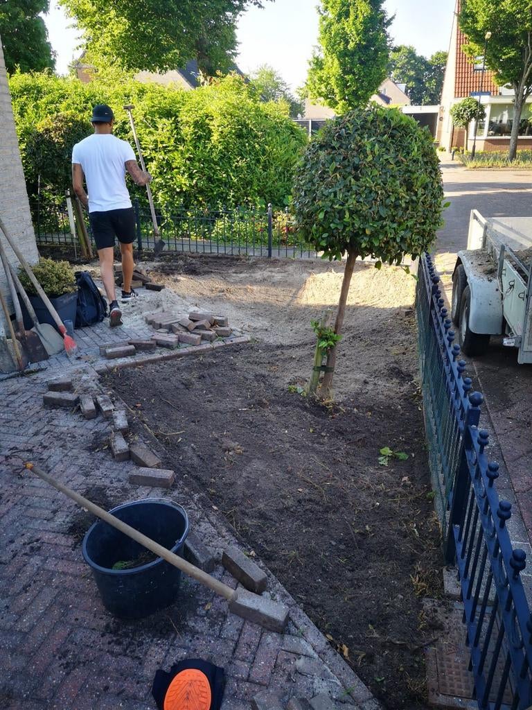 Betaalbare tuinman aangeboden regio schagen