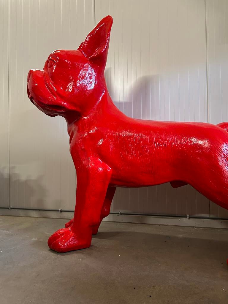 Grote Franse Bulldog XXL met vloerplaat, Ophalen