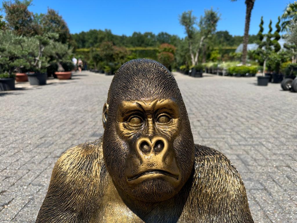 Brons -goud kleurig Gorilla beeld te koop, Tuin en Terras, Tuinbeelden, Ophalen, Nieuw, Kunststof, Dierenbeeld
