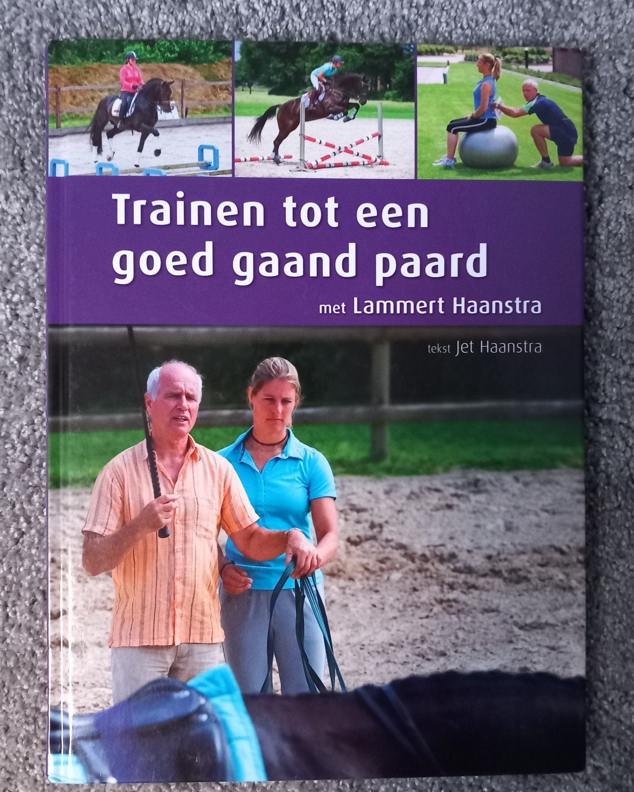 Trainen tot een goed gaand paard, Lammert Haanstra, Boeken, Overige merken, Europa, Ophalen of Verzenden, Zo goed als nieuw