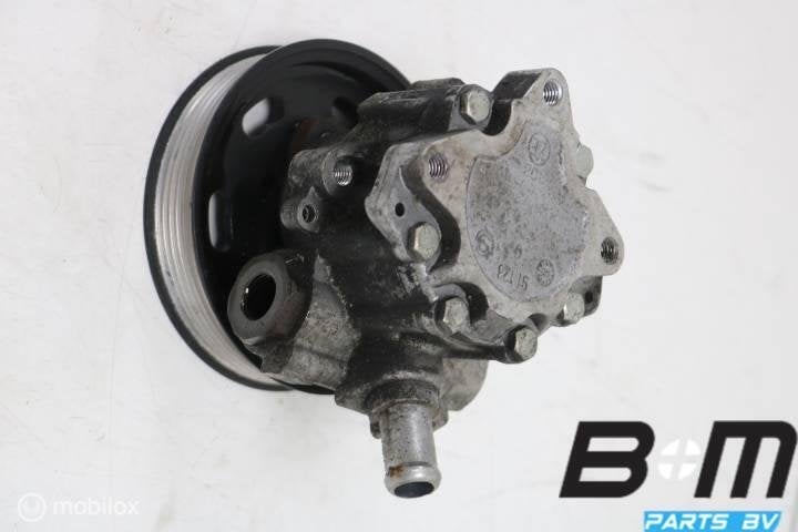 Vleugelpomp Audi A4 8E B7 2.0 TDI BLB 8E0145155N, Gebruikt