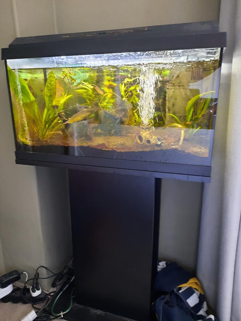 Juwel, Compleet aquarium 60cm inclusief meubel, Dieren en Toebehoren, Vissen | Aquaria en Toebehoren, Ophalen, Zo goed als nieuw