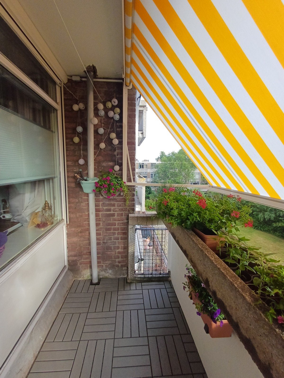 Gezocht: klusser voor maatwerk constuctie kattennet balkon