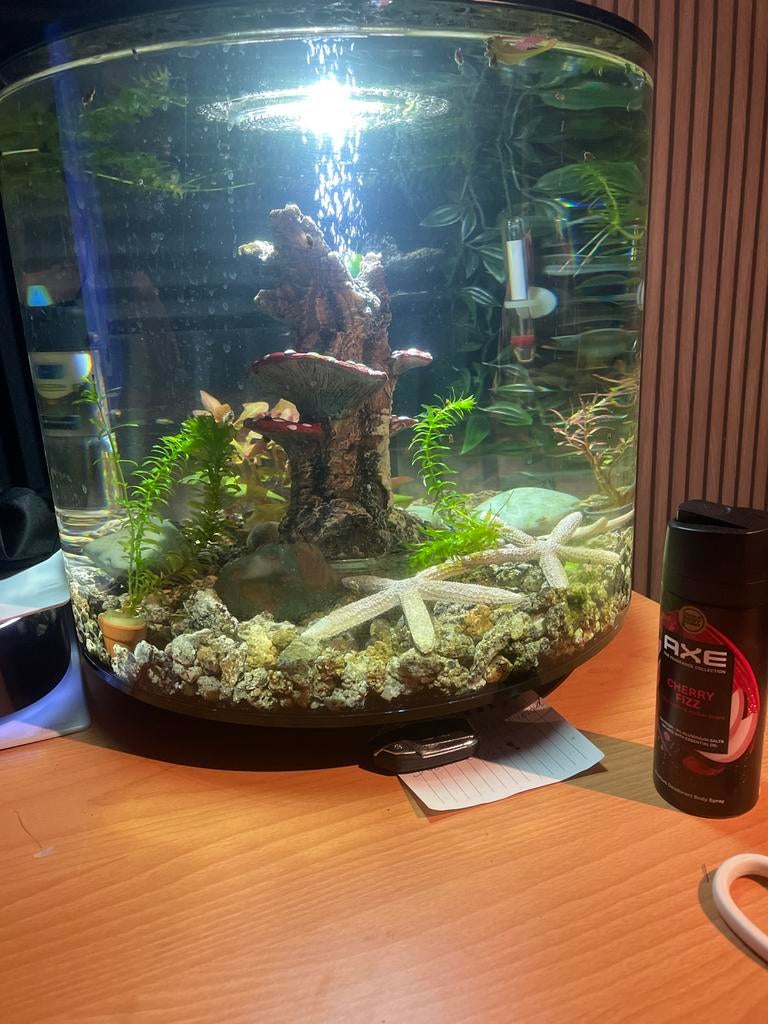 Vissenkom, Dieren en Toebehoren, Vissen | Aquaria en Toebehoren, Ophalen of Verzenden, Gebruikt, Leeg aquarium