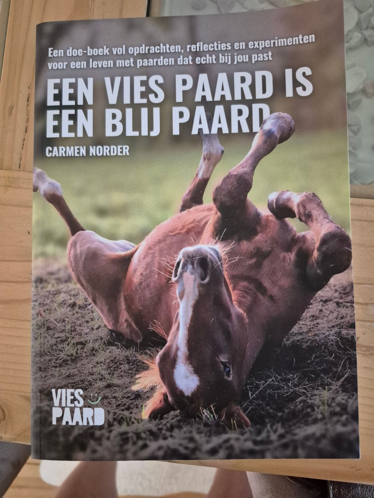 Carmen Norder - Een vies paard is een blij paard, Ophalen of Verzenden, Zo goed als nieuw, Balsport, Carmen Norder