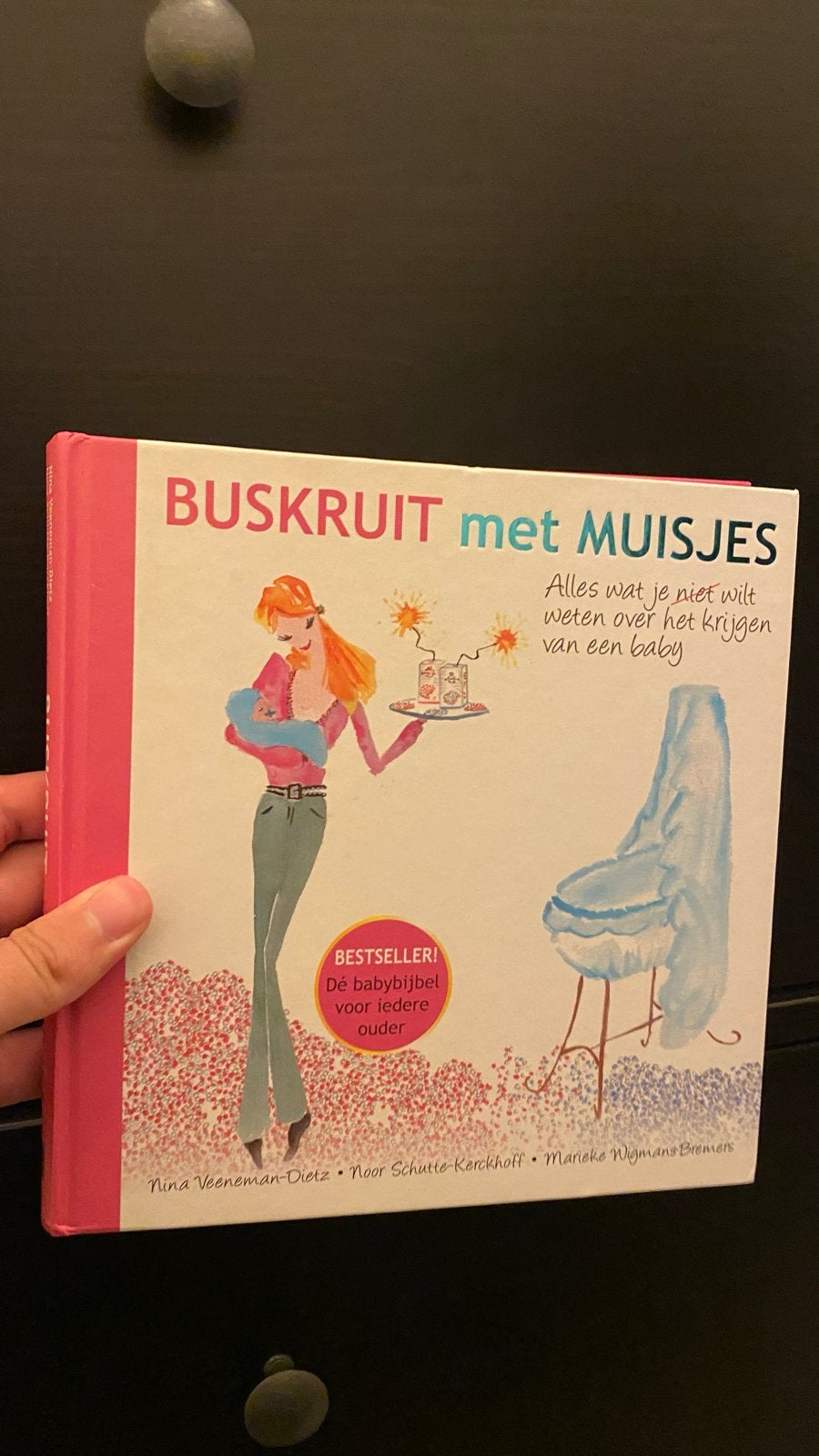 BUSKRUIT met MUISJES: Alles over zwangerschap en baby's, Ophalen of Verzenden, Zo goed als nieuw, Zwangerschap en Bevalling