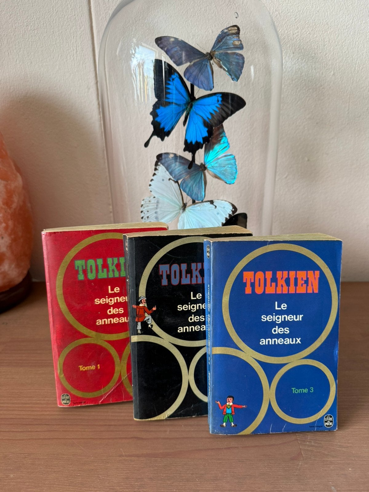 Tolkien Le Seigneur Des Anneaux, Ophalen of Verzenden, Zo goed als nieuw