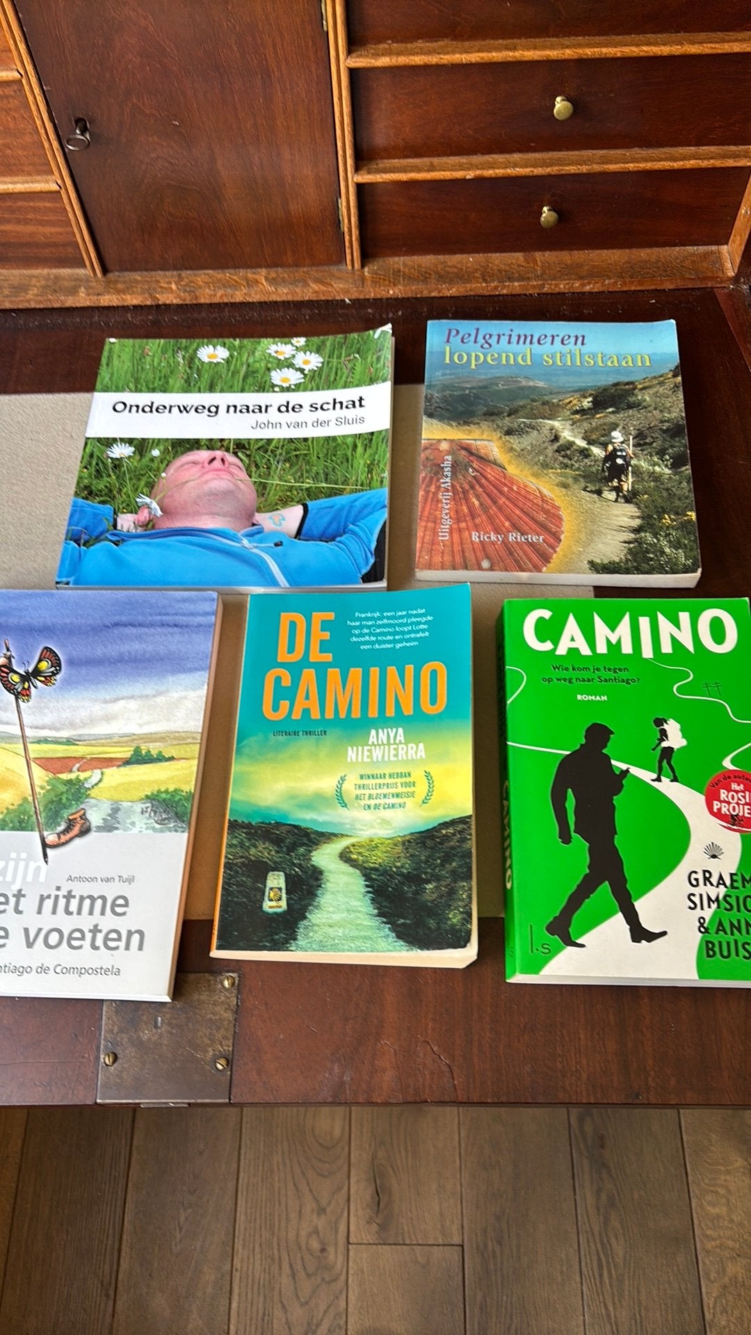 Santiago de Compostela- Vrij zijn- Onderweg naar de schat, Boeken, Reisverhalen, Ophalen of Verzenden, Gelezen, A. van Tuijl, Europa