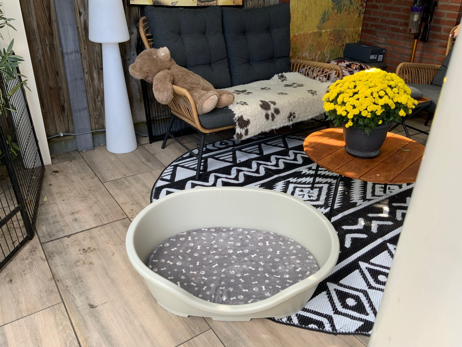 Kunststof hondenmand groot, Dieren en Toebehoren, Ophalen
