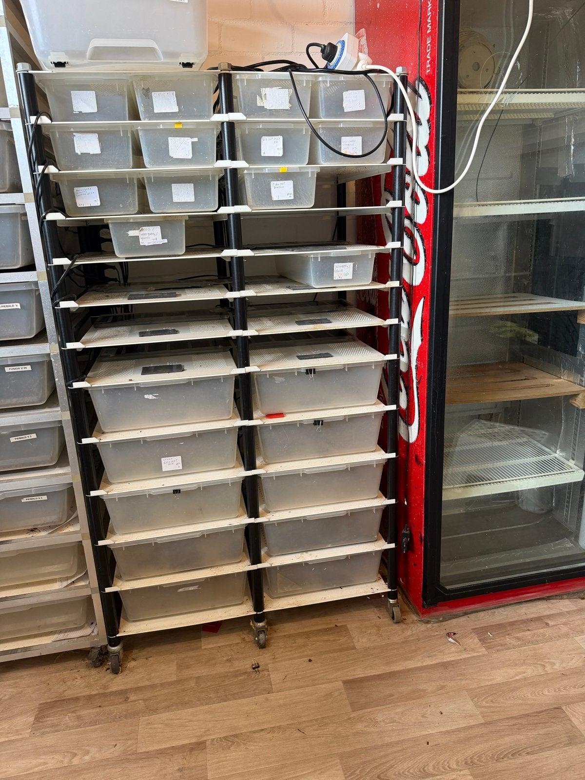 Lp Stalen rack compleet, Dieren en Toebehoren, Ophalen