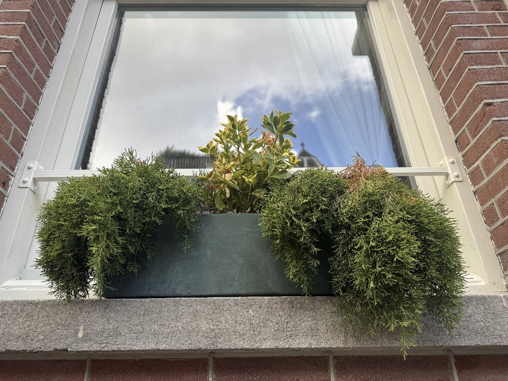 2 plantenbakken met planten, 60x18 cm, Ophalen, Overige materialen, Gebruikt, Minder dan 30 cm