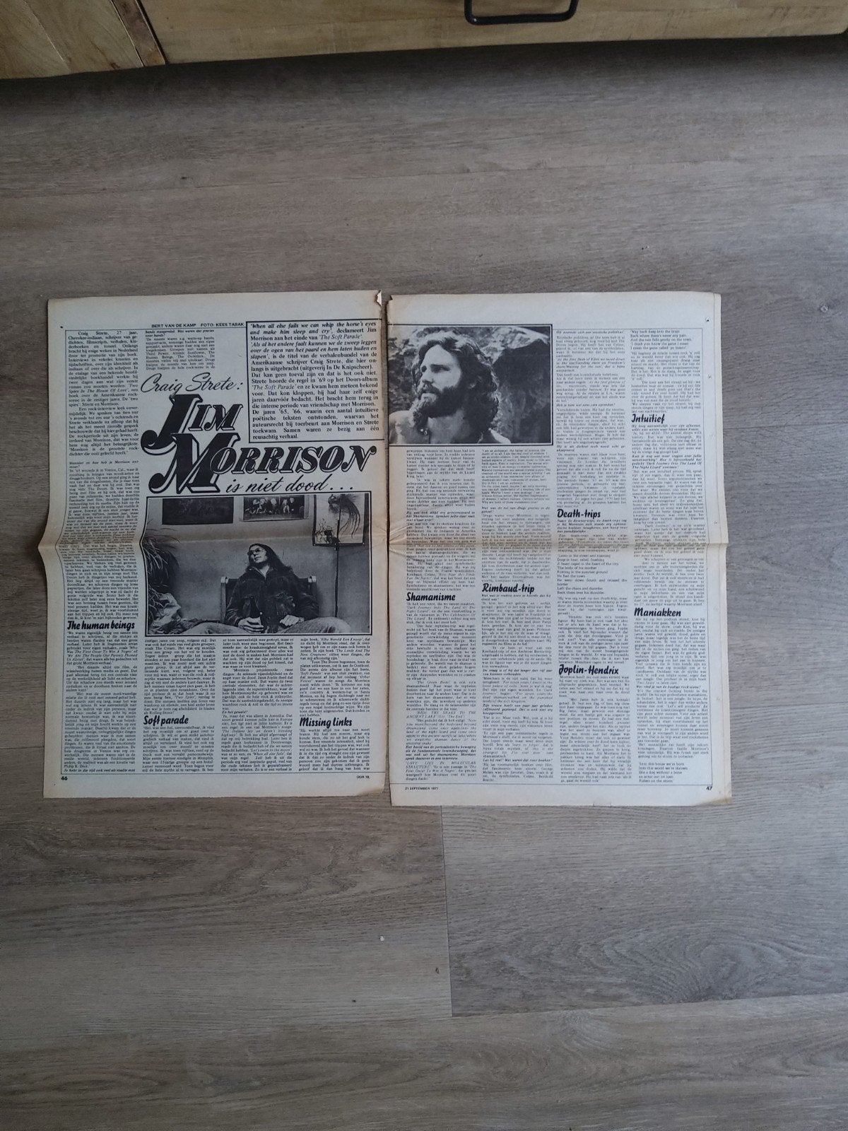 Jim Morrison:  theorie over Jim's  dood  a3  formaat, Ophalen of Verzenden