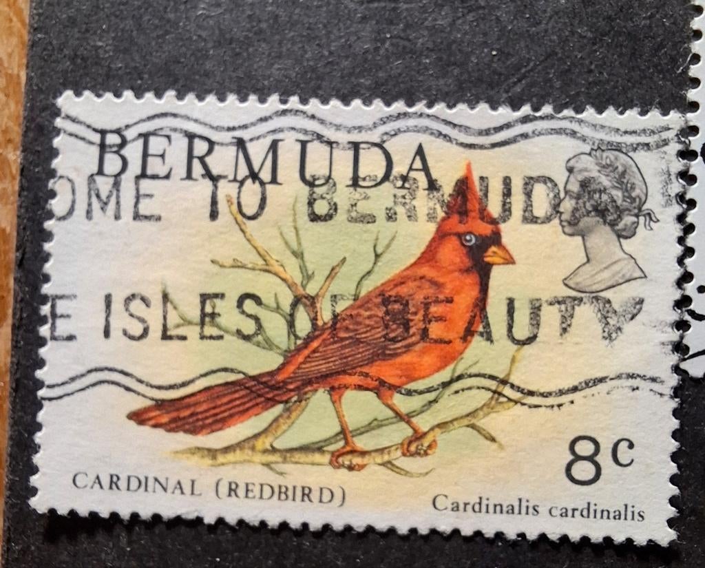 Bermuda 20 rode kardinaal, Ophalen of Verzenden, Overige thema's