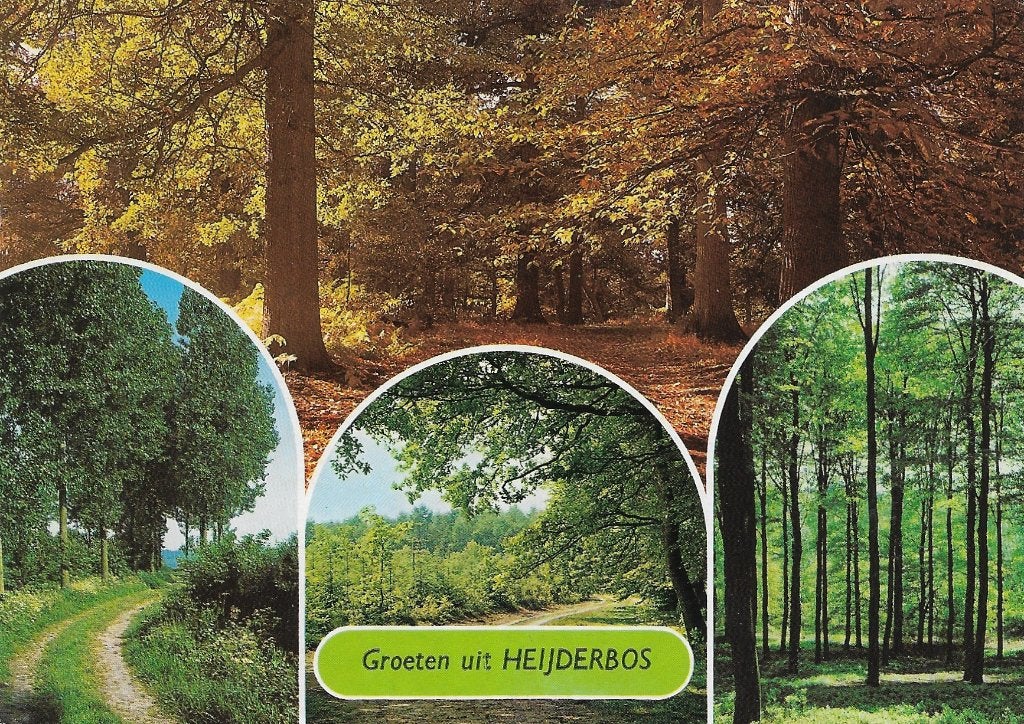 Ansichtkaart  	Heijen	Het Heijderbos	4-luik, Verzenden, 1980 tot heden, Gelopen, Limburg