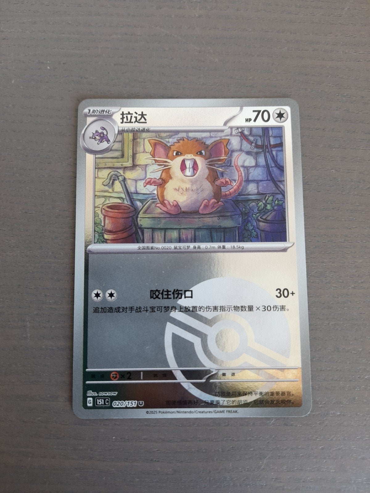 chinees 151 020/151 raticate reverse poke ball, Ophalen of Verzenden, Zo goed als nieuw, Losse kaart, Foil