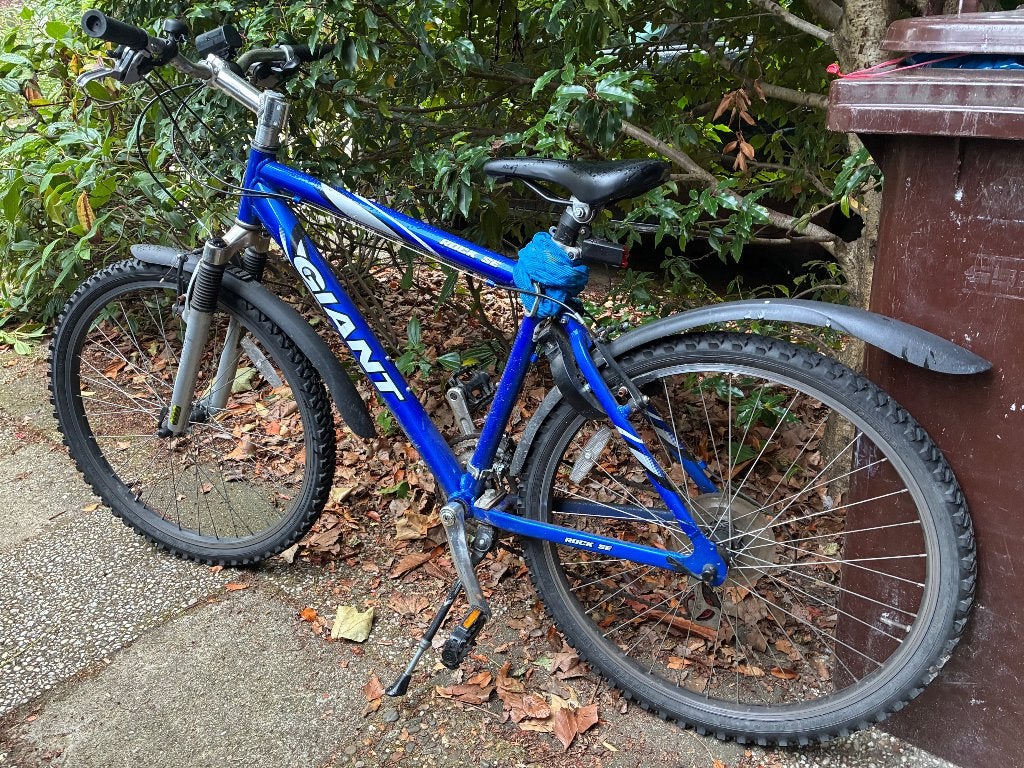 Giant Rock SE Mountainbike, Fietsen en Brommers, Fietsen | Mountainbikes en ATB, Gebruikt, Heren, 49 tot 53 cm, Giant