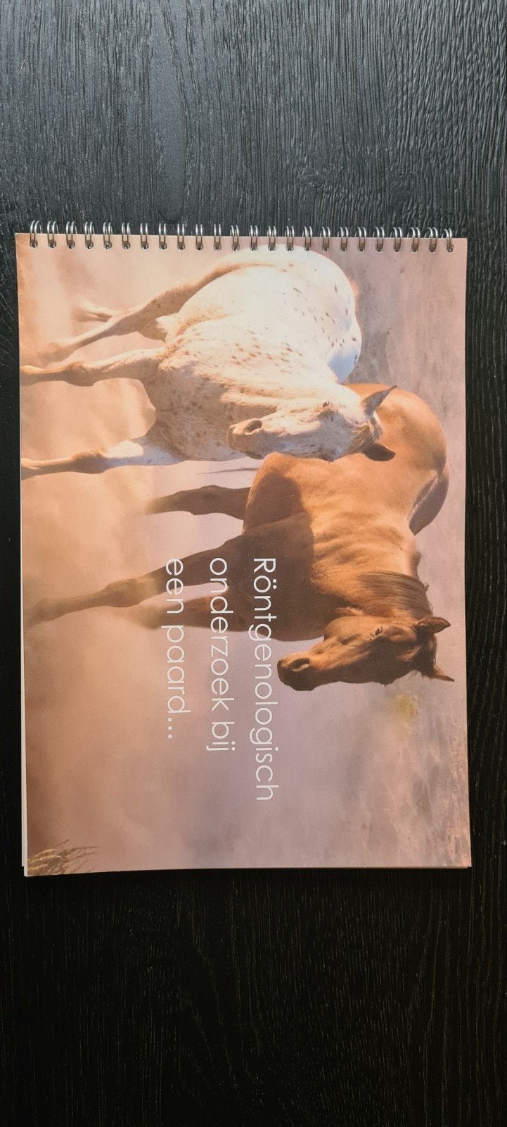 Röntgenologisch onderzoek bij een paard, Ophalen of Verzenden, Beta, Zo goed als nieuw, MBO