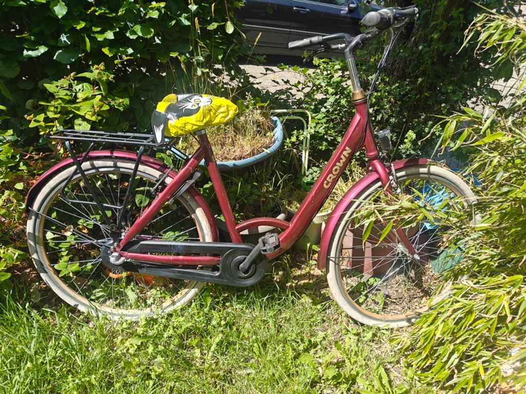 Crown Rio 3v, Fietsen en Brommers, Fietsen | Dames | Damesfietsen, Ophalen, Gebruikt, Overige merken