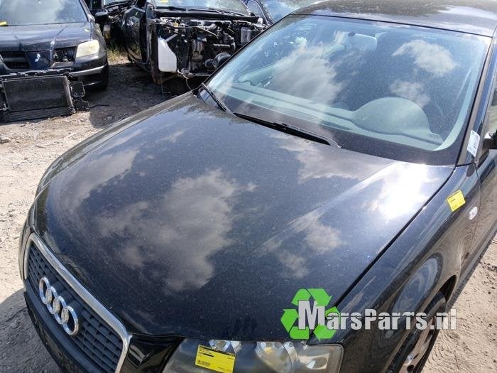 Motorkap van een Audi A3, Auto-onderdelen, Gebruikt, -, -, -